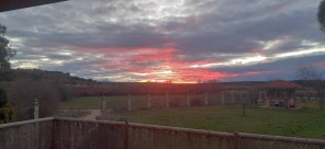 Vistas